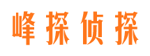 大渡口市私家侦探